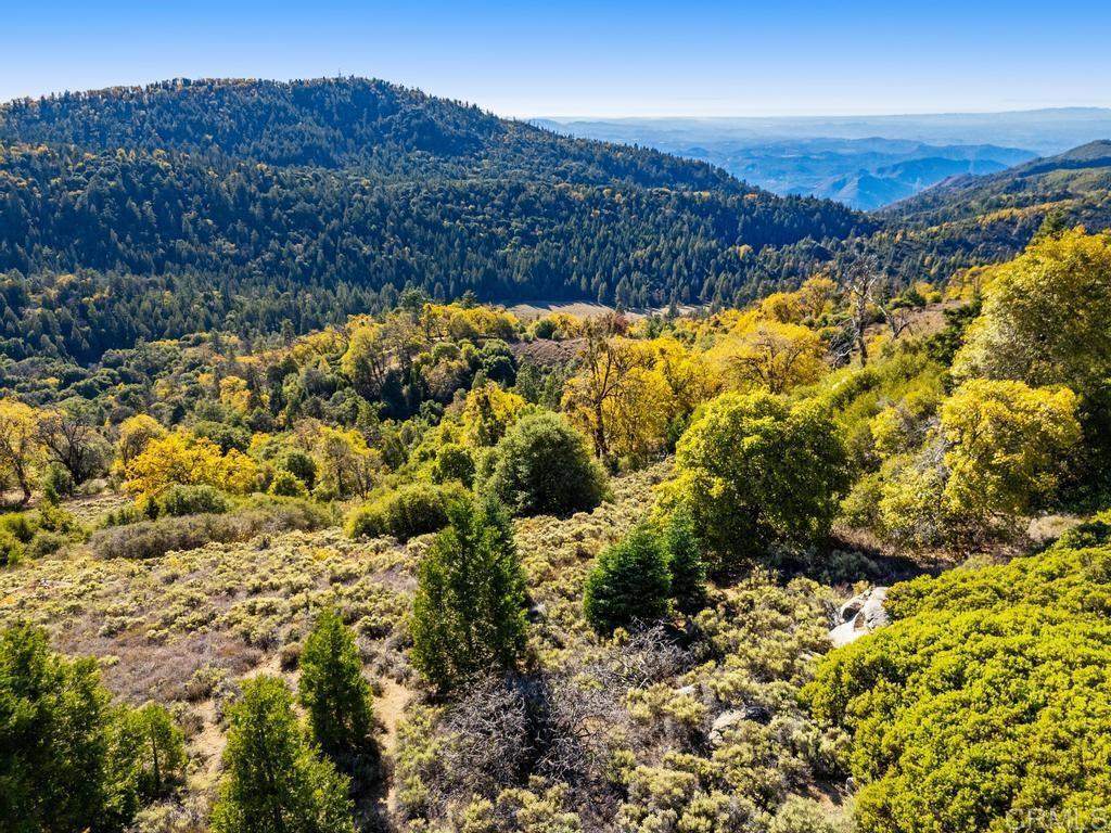 0 State Park Road Palomar Mountain, CA 92060 - Photo 21 of 33 a view of a houses with a yard