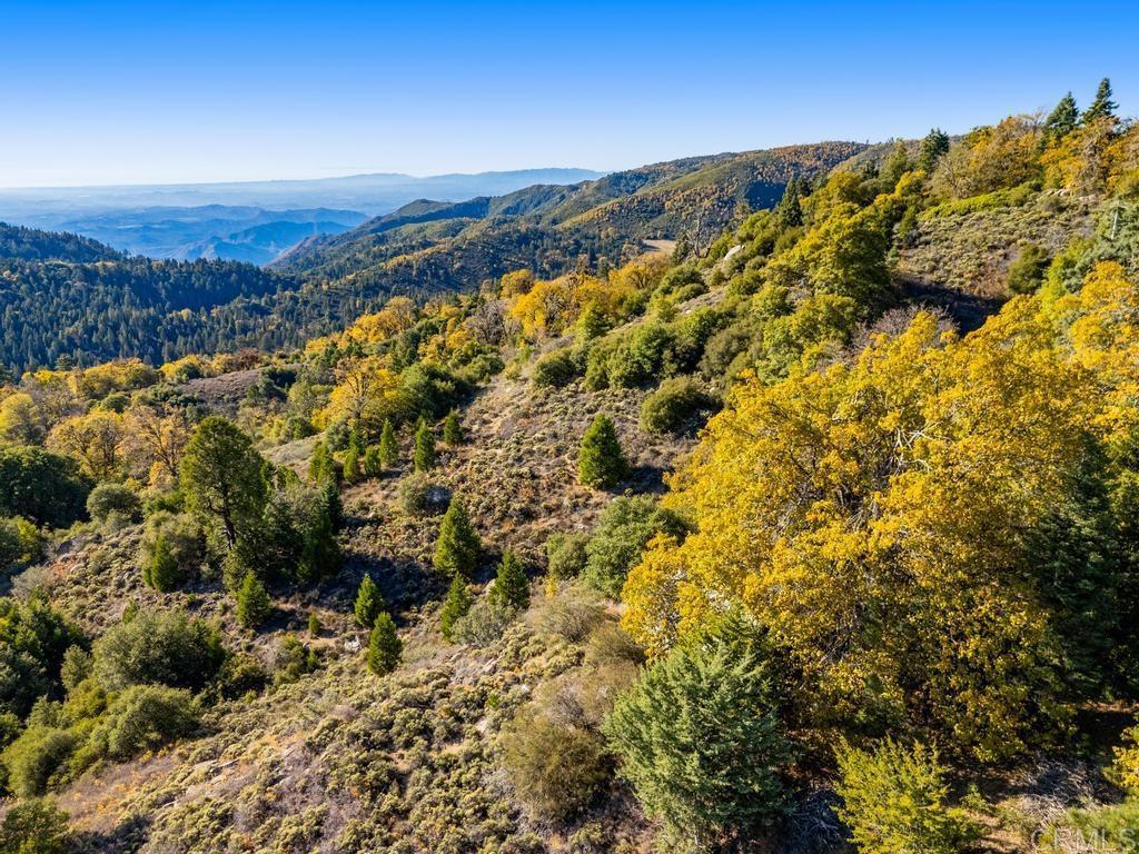 0 State Park Road Palomar Mountain, CA 92060 - Photo 22 of 33 a view of mountain view