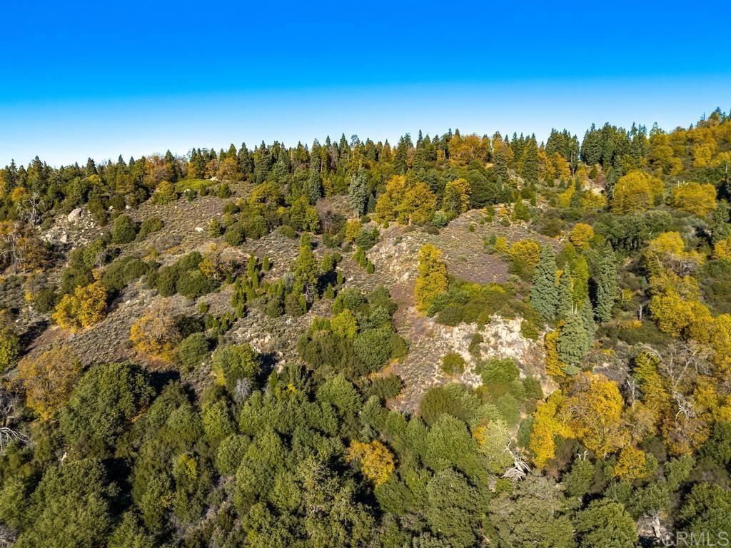 0 State Park Road Palomar Mountain, CA 92060 - Photo 23 of 33 a view of a yard
