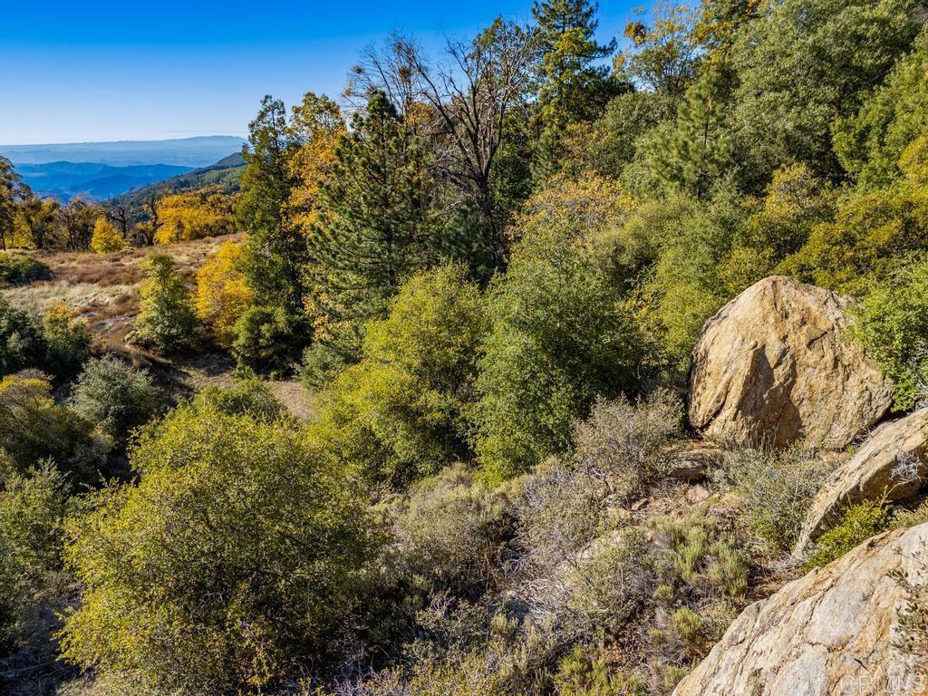0 State Park Road Palomar Mountain, CA 92060 - Photo 25 of 33 a view of a large yard with lots of trees