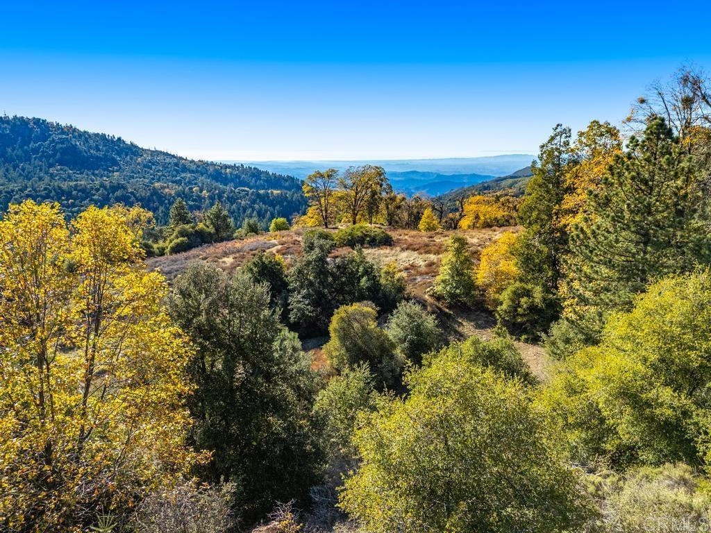 0 State Park Road Palomar Mountain, CA 92060 - Photo 26 of 33 a view of a yard