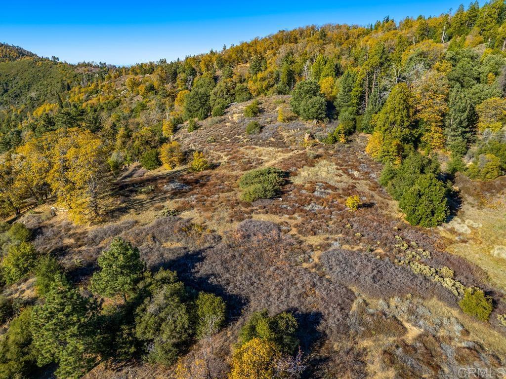 0 State Park Road Palomar Mountain, CA 92060 - Photo 28 of 33 a view of a field