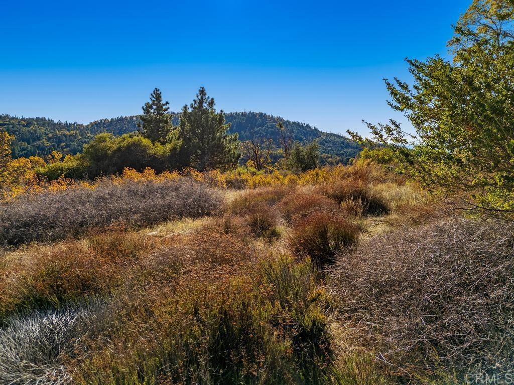 0 State Park Road Palomar Mountain, CA 92060 - Photo 29 of 33
