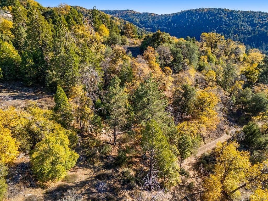 0 State Park Road Palomar Mountain, CA 92060 - Photo 5 of 33 a view of a bunch of plants and trees