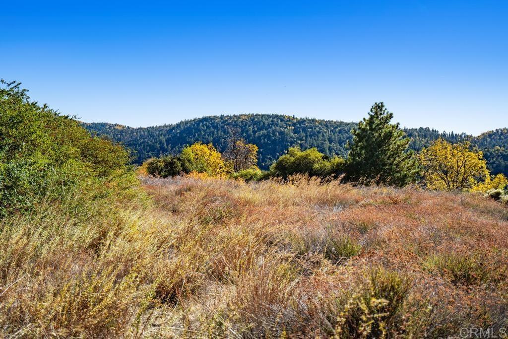 0 State Park Road Palomar Mountain, CA 92060 - Photo 7 of 33 a view of a yard of a house