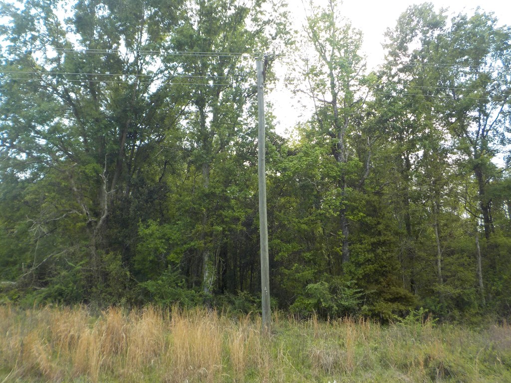 5.3-ac Memphis Church Road Dothan, AL 36301 - Photo 6 of 29