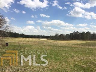0 Faulk Cochran, GA 31014 - Photo 1 of 1 a view of a lake from a yard