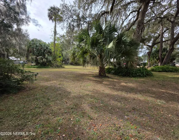 a view of dirt field with trees