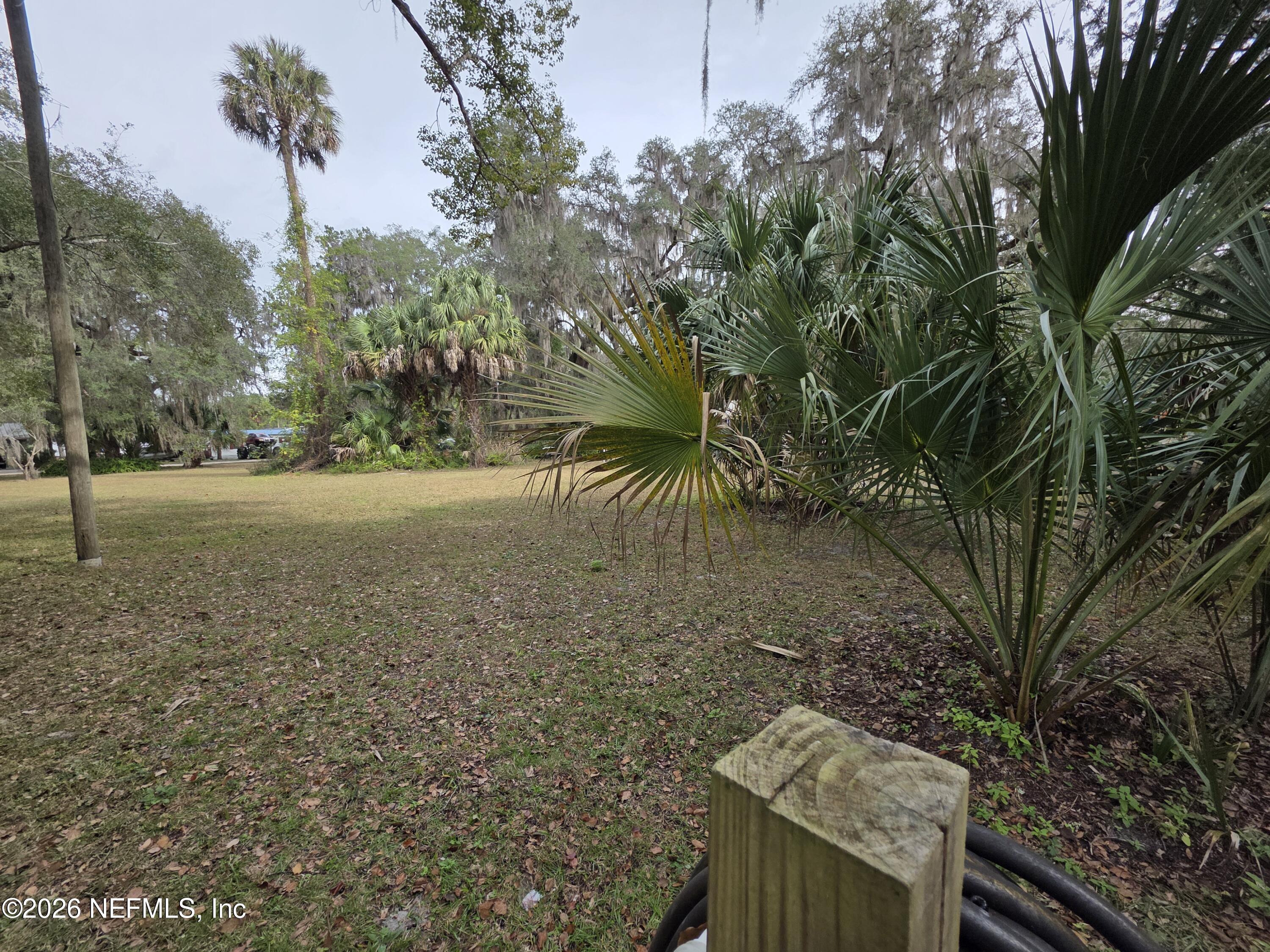 0 Mill Street Welaka, FL 32193 - Photo 11 of 18 a view of a yard with plants and trees