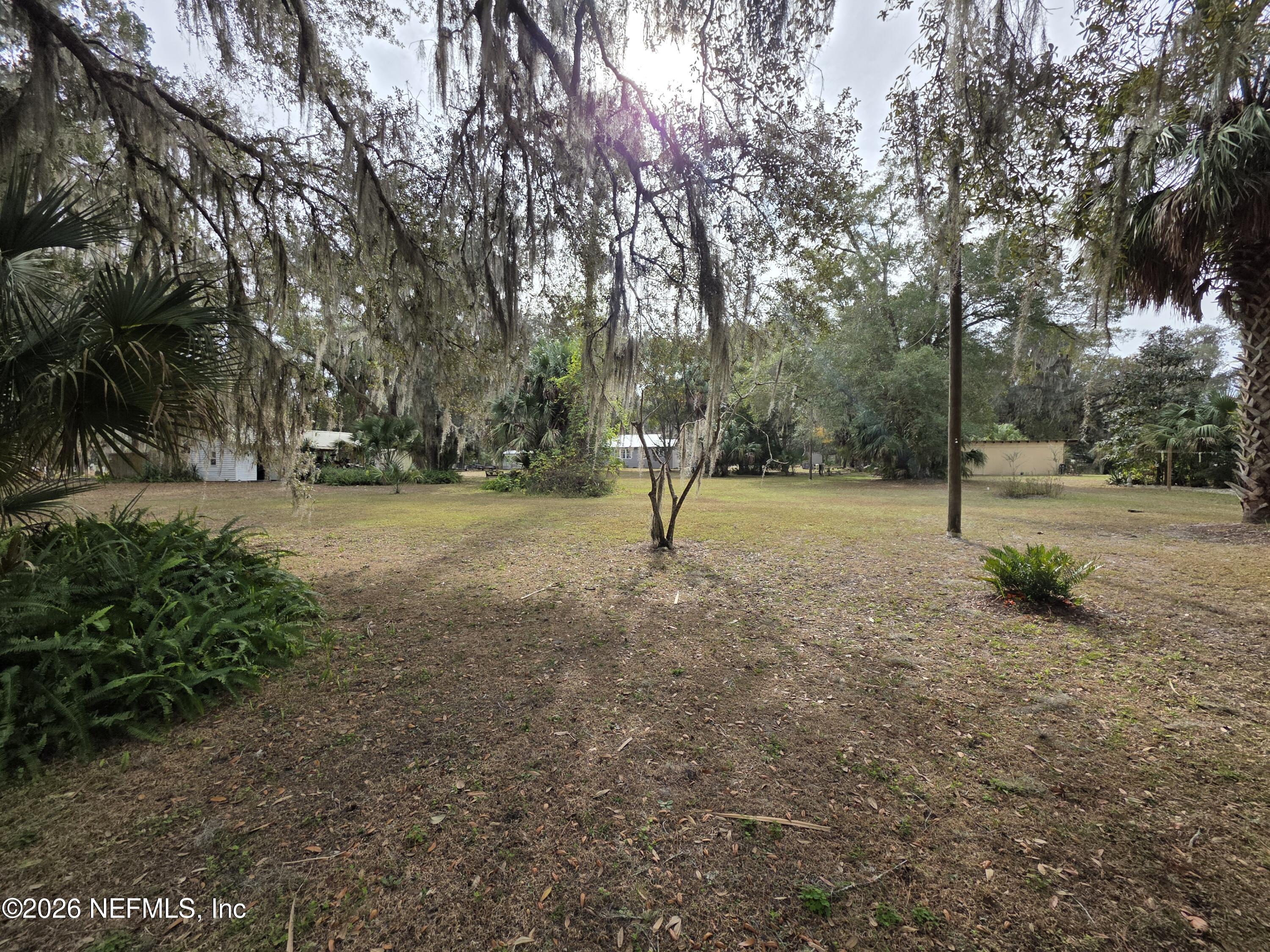 0 Mill Street Welaka, FL 32193 - Photo 13 of 18 a view of a tree in a park