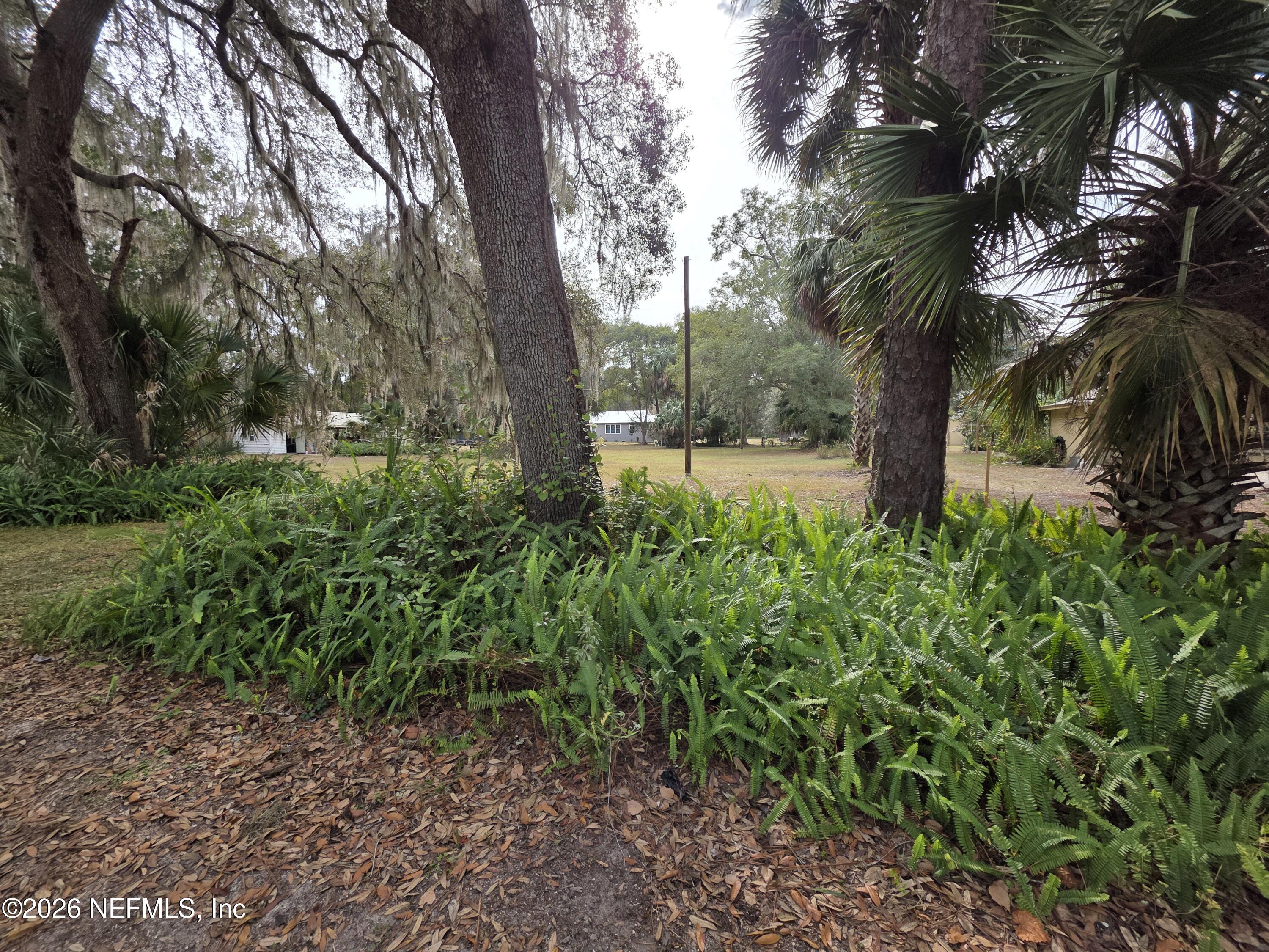 0 Mill Street Welaka, FL 32193 - Photo 2 of 18 a view of backyard with outdoor and trees