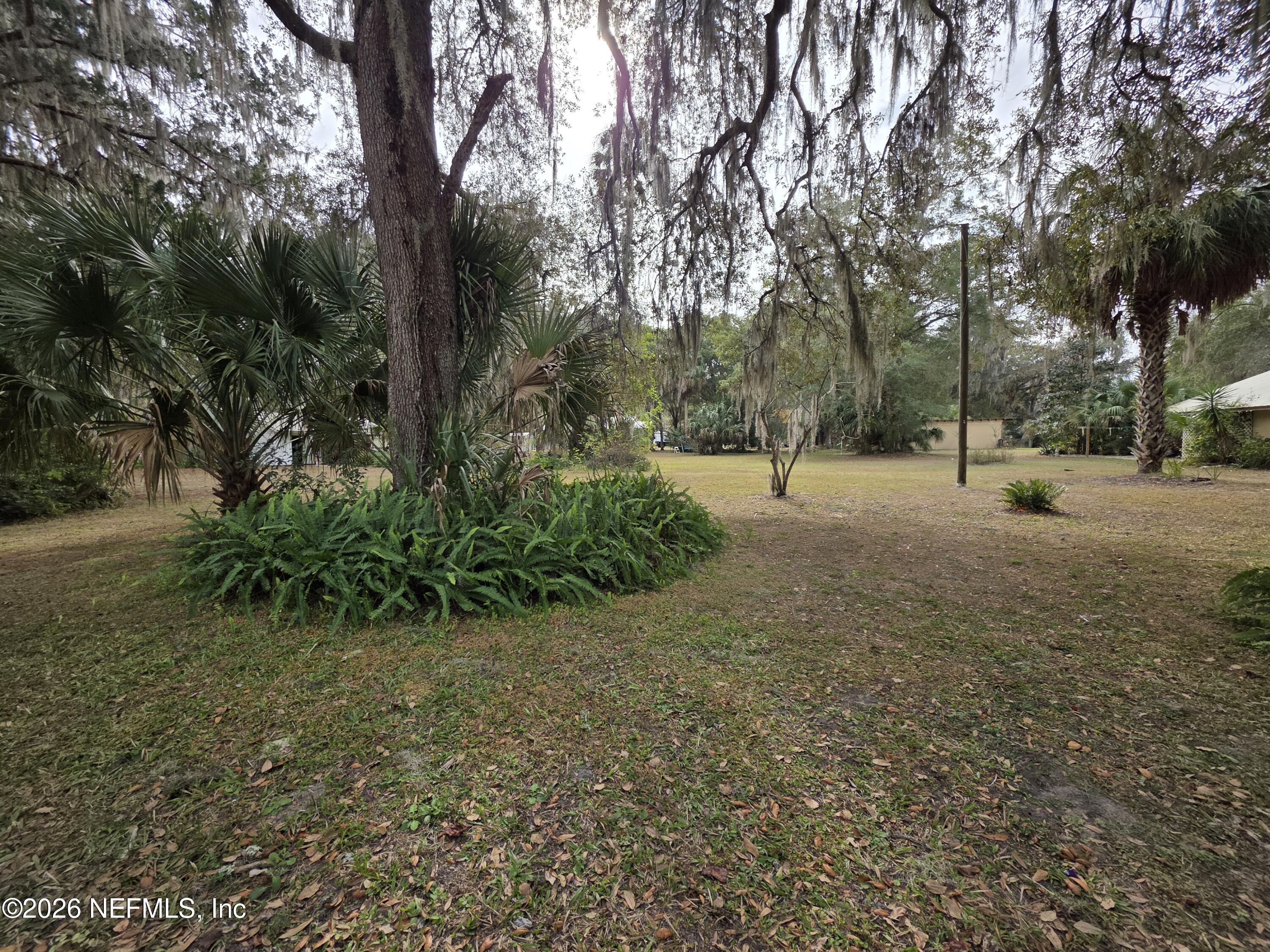 0 Mill Street Welaka, FL 32193 - Photo 4 of 18 a view of yard with entertaining space