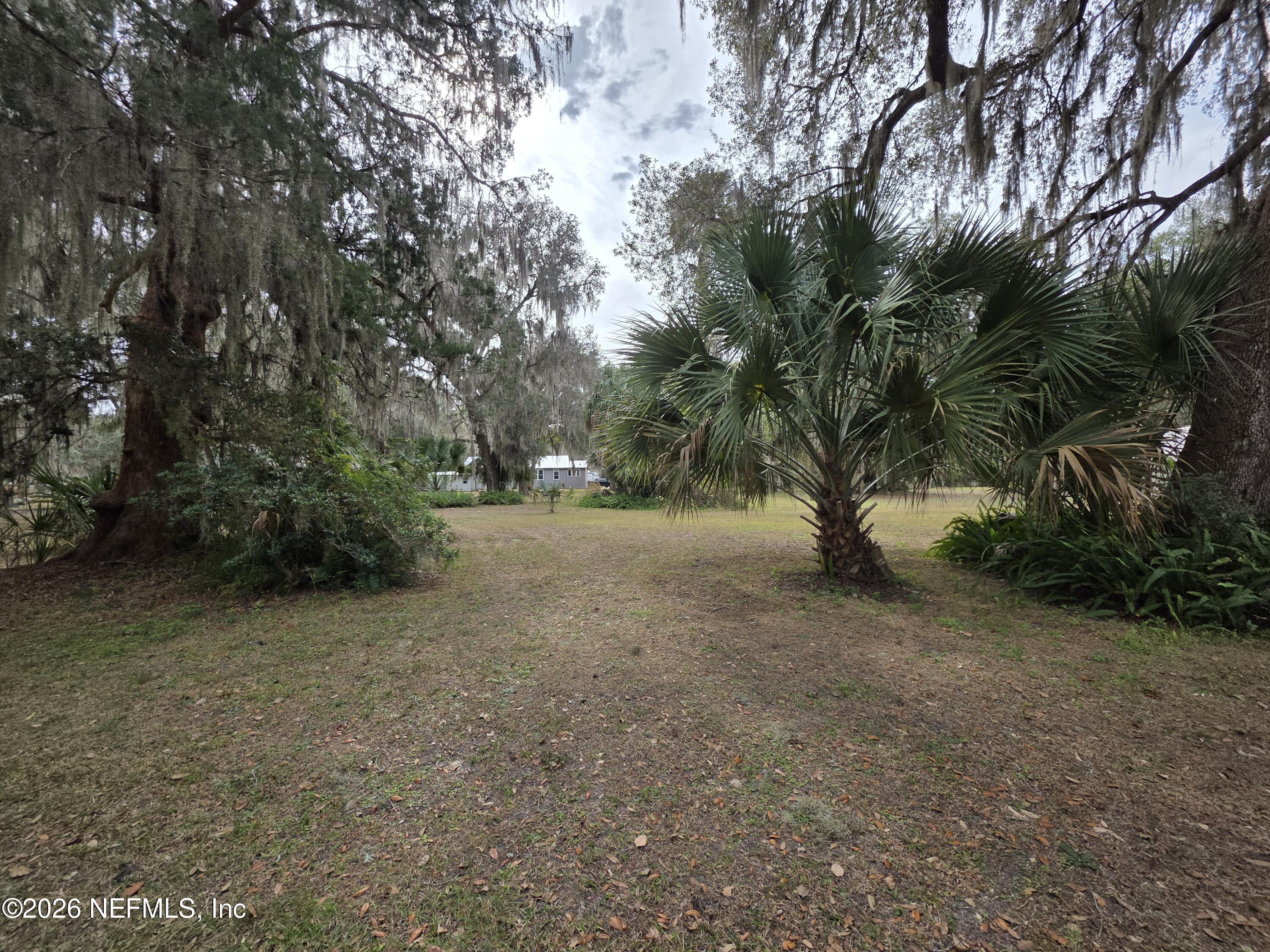0 Mill Street Welaka, FL 32193 - Photo 5 of 18 a view of dirt field with trees
