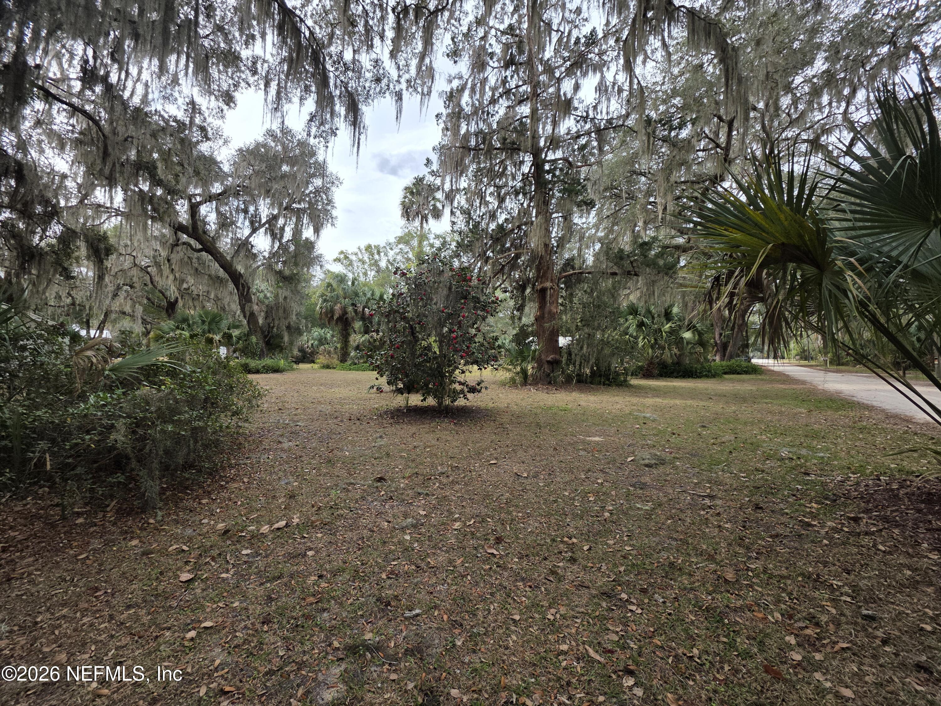0 Mill Street Welaka, FL 32193 - Photo 6 of 18 a view of outdoor space with trees