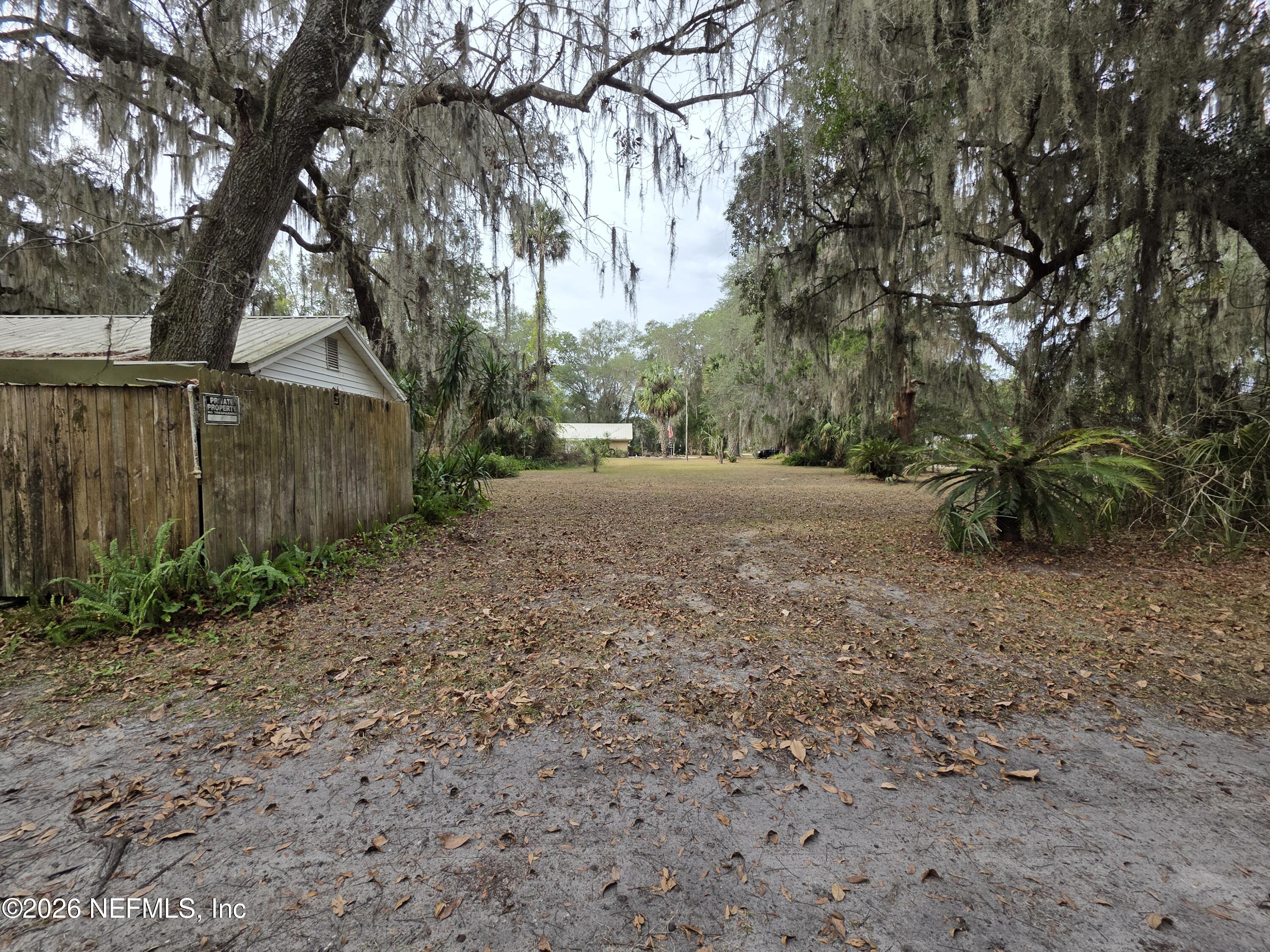 0 Mill Street Welaka, FL 32193 - Photo 8 of 18 a view of backyard with green space