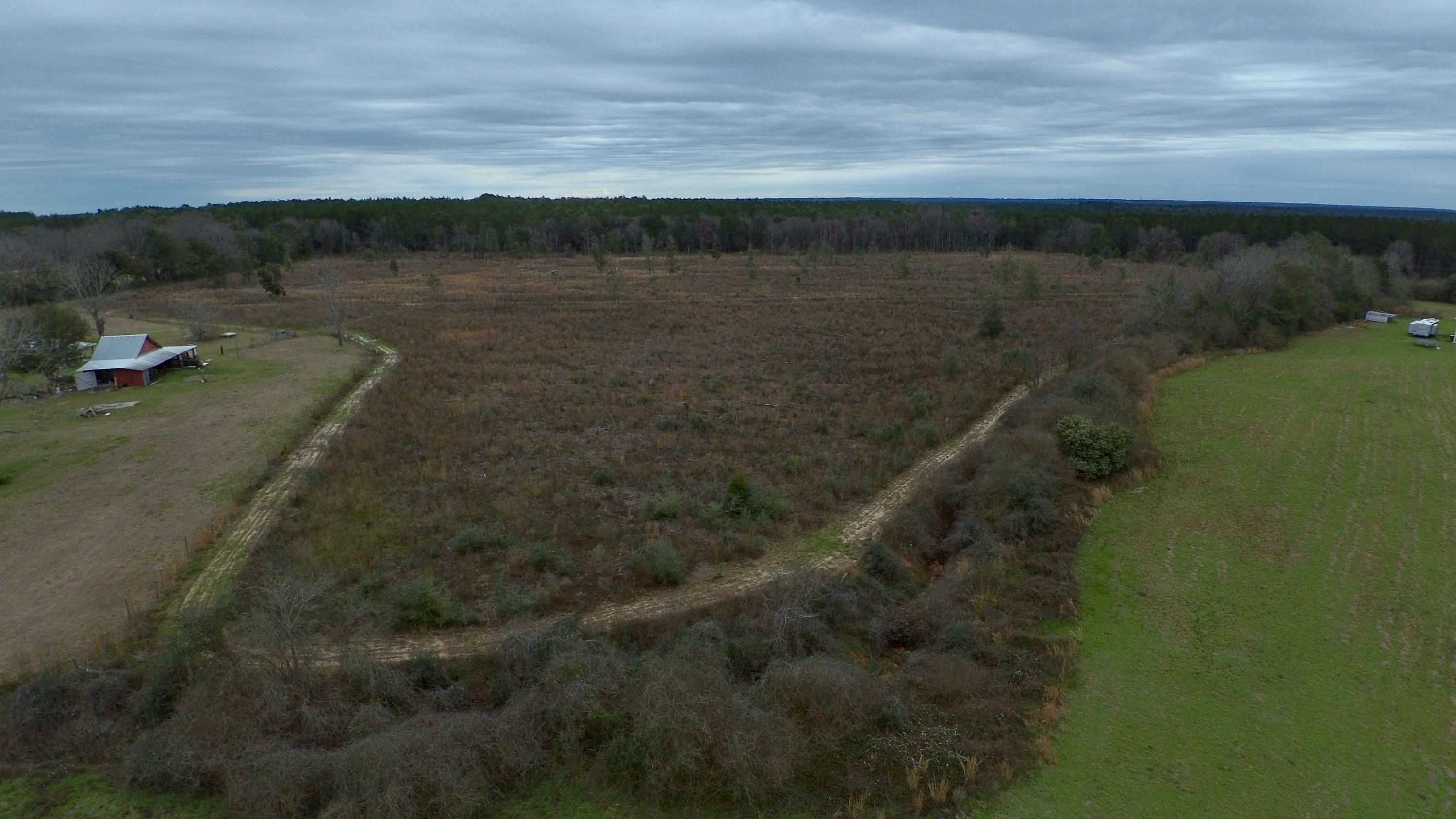 Xx Holloway Road Baker, FL 32531 - Photo 6 of 8 a view of a lake with a yard