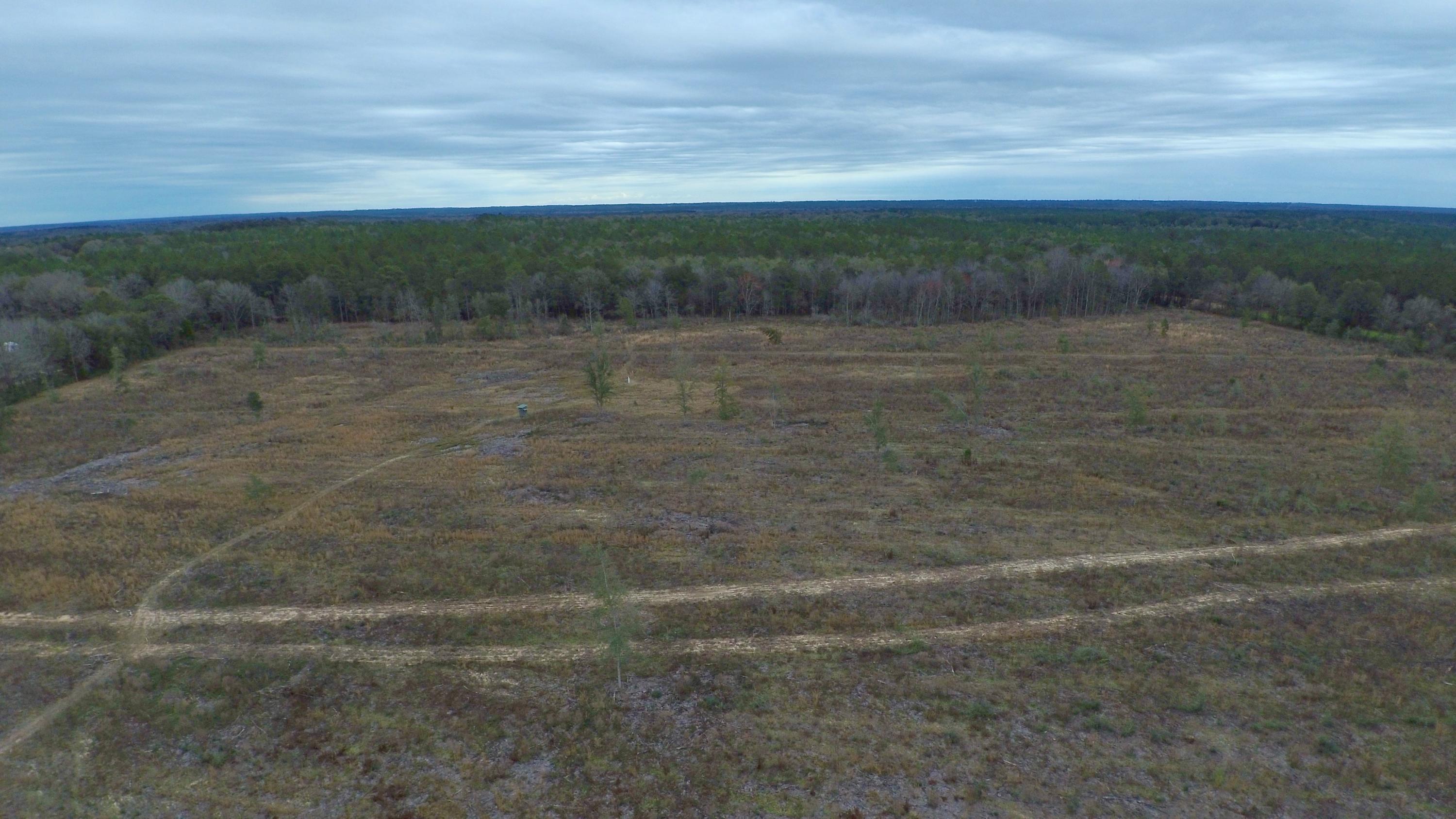 Xx Holloway Road Baker, FL 32531 - Photo 7 of 8 a view of a field with an ocean