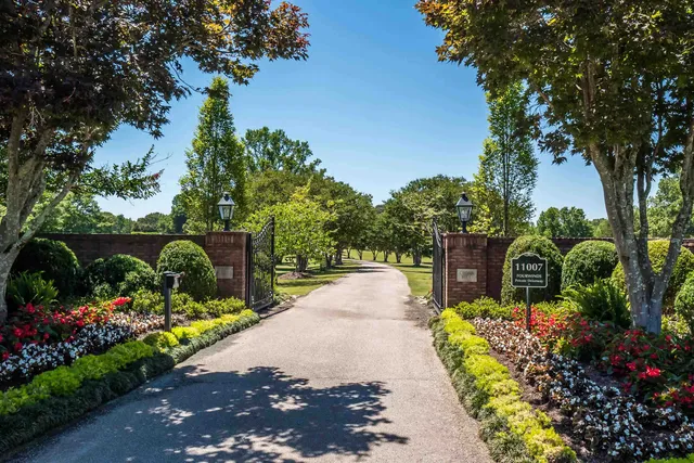a view of a garden with flowers and trees