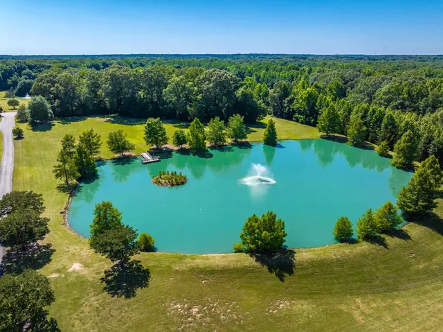 an aerial view of a house with a garden