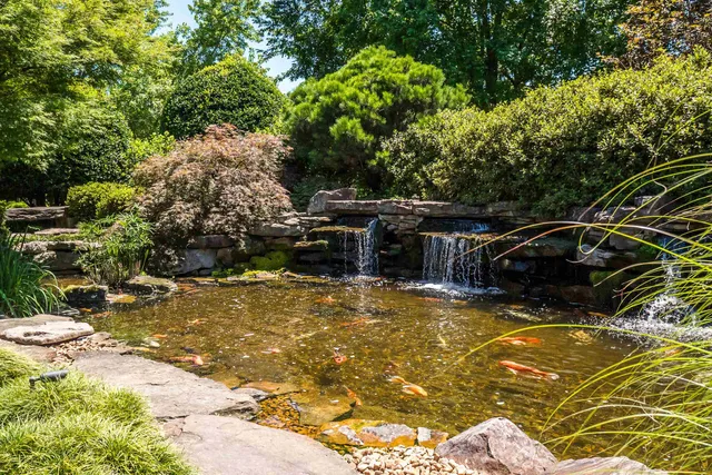 a view of swimming pool with lawn chairs and plants