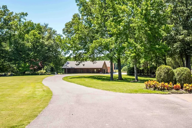 a view of a swimming pool and trees in the background