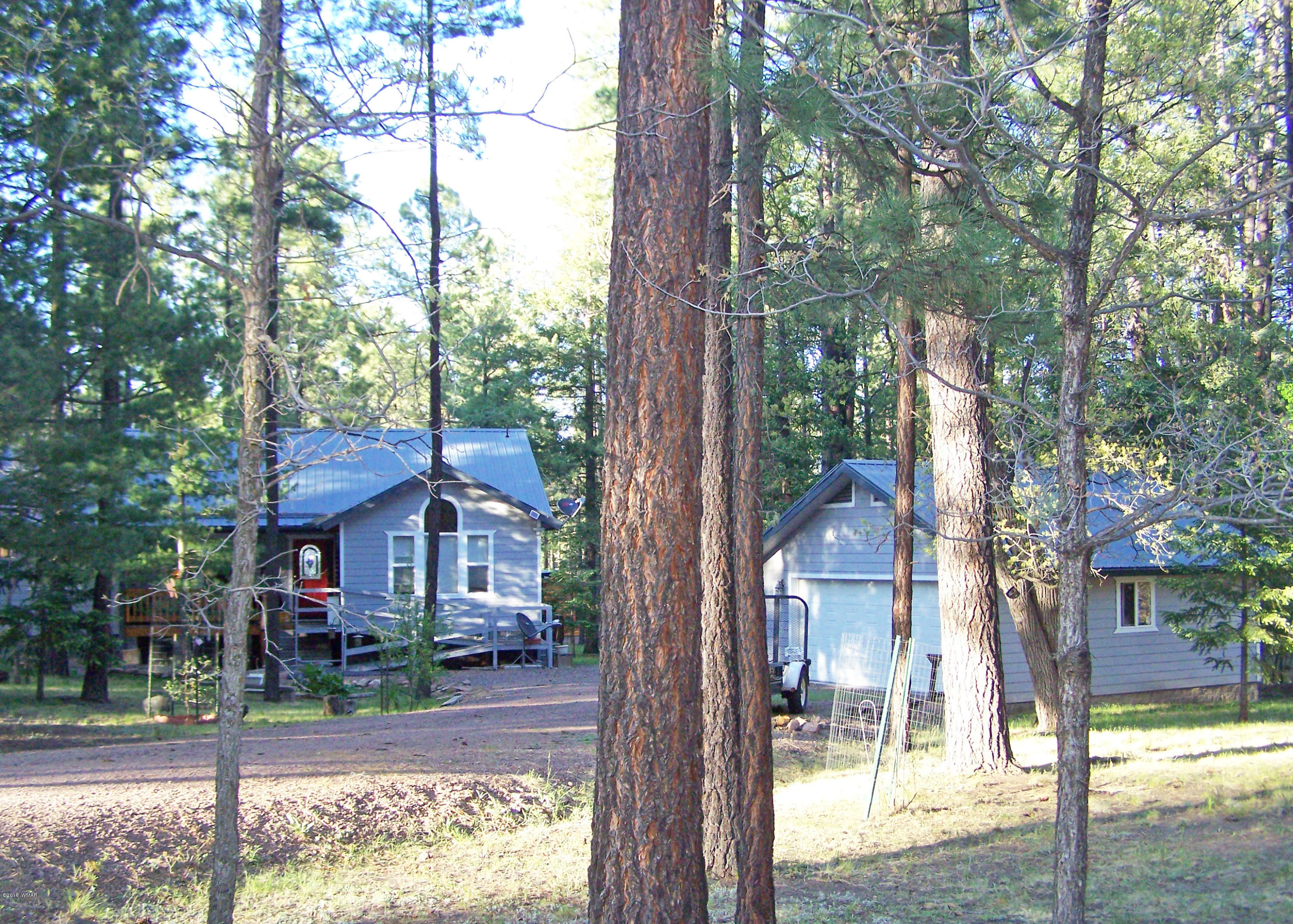 5 County Road Alpine, AZ 85920 - Photo 2 of 32