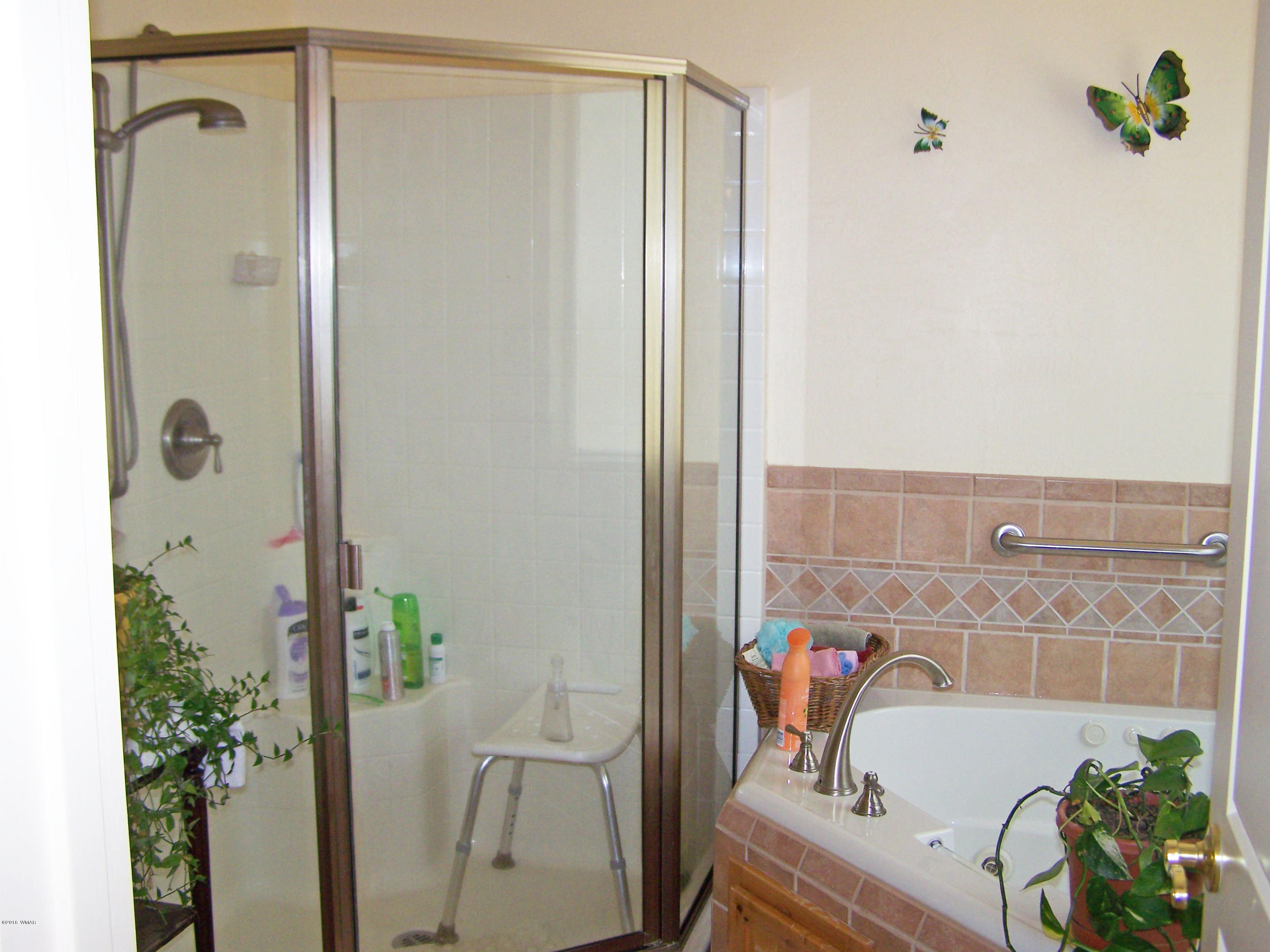 5 County Road Alpine, AZ 85920 - Photo 23 of 32