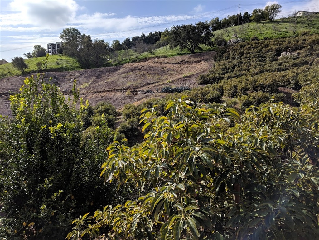 2840 Mountain View Drive Escondido, CA 92027 - Photo 1 of 7 View of southerly portion of property. Mix of larger trees, recently planted area with high density and cleared portion waiting for new trees in 2020.