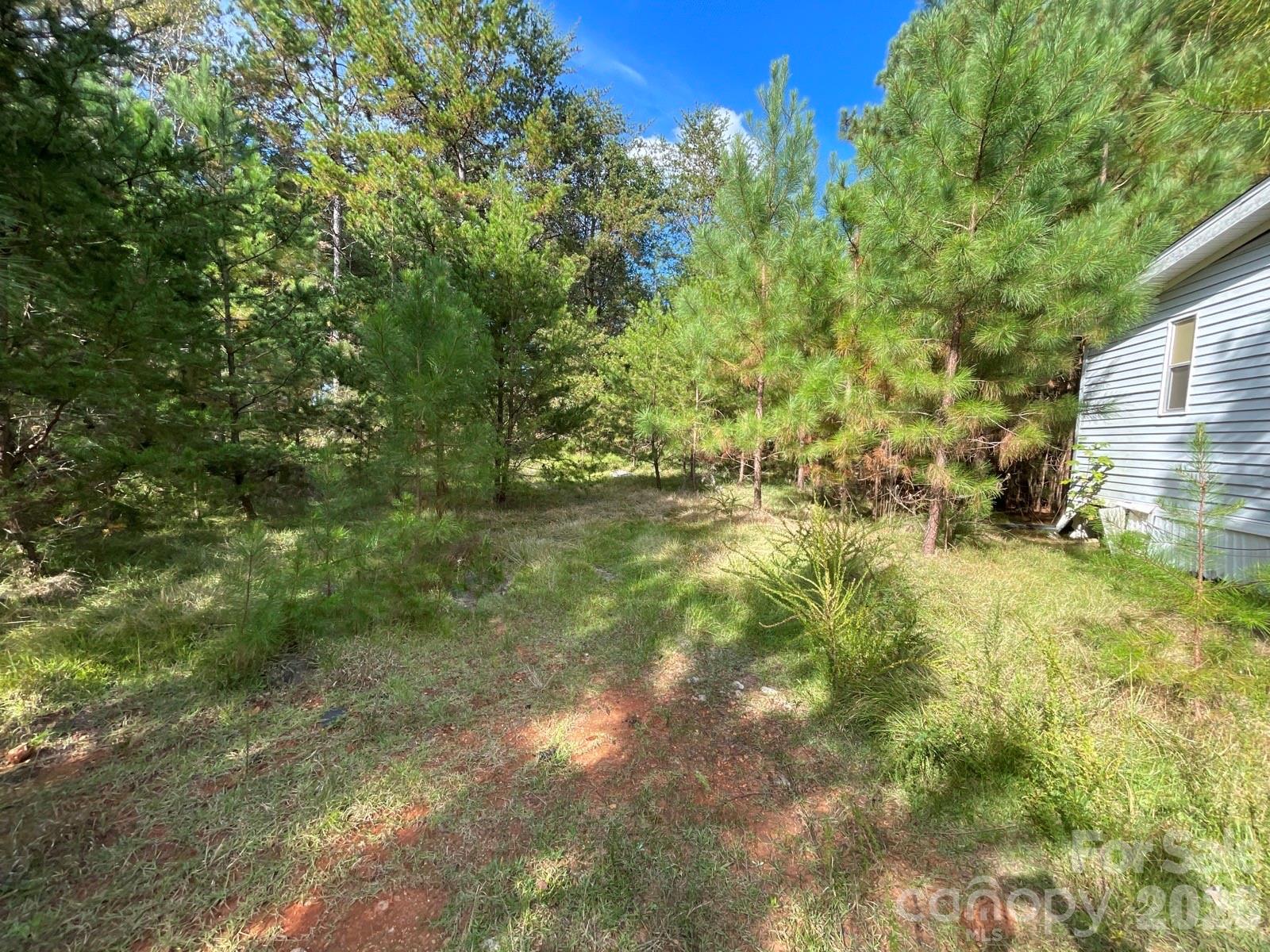 810 Warlick Road Lawndale, NC 28090 - Photo 15 of 22