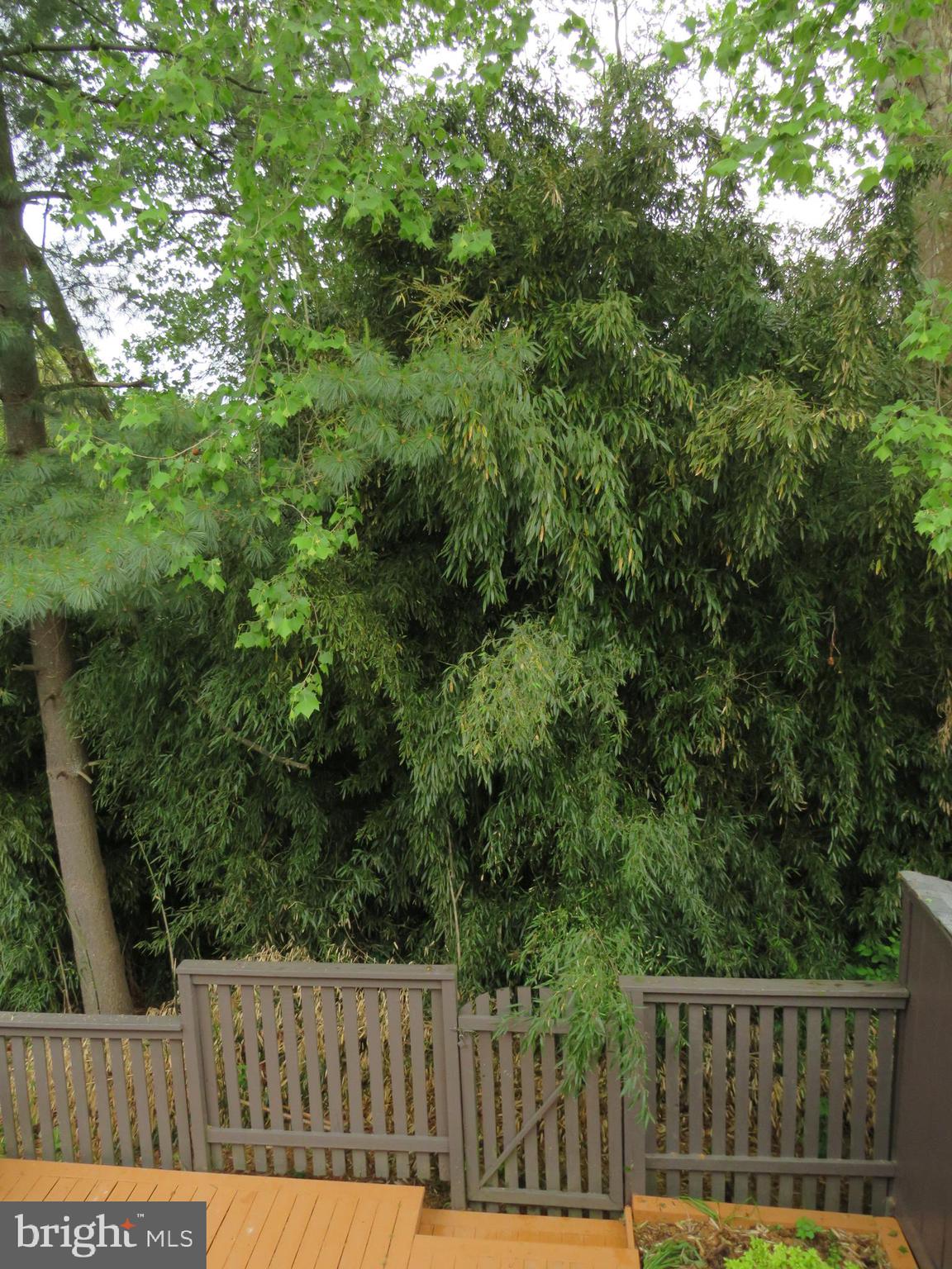 1709 Ivy Oak Square, Unit 18 Reston, VA 20190 - Photo 18 of 22 View from rear bedrooms