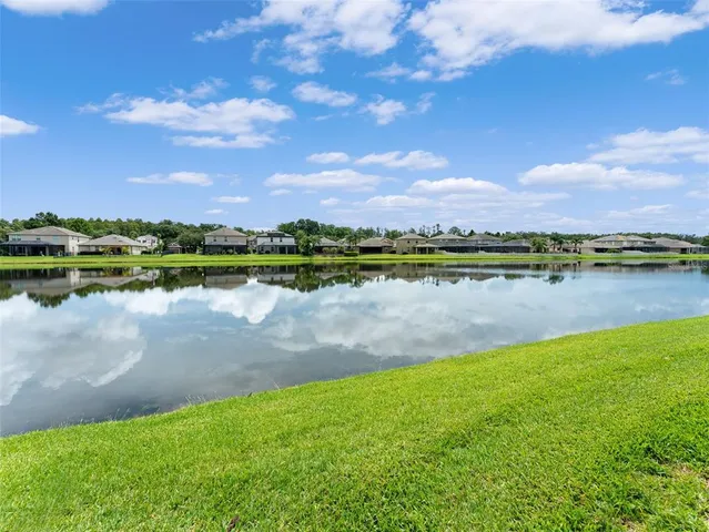 a view of a yard and a palm tree