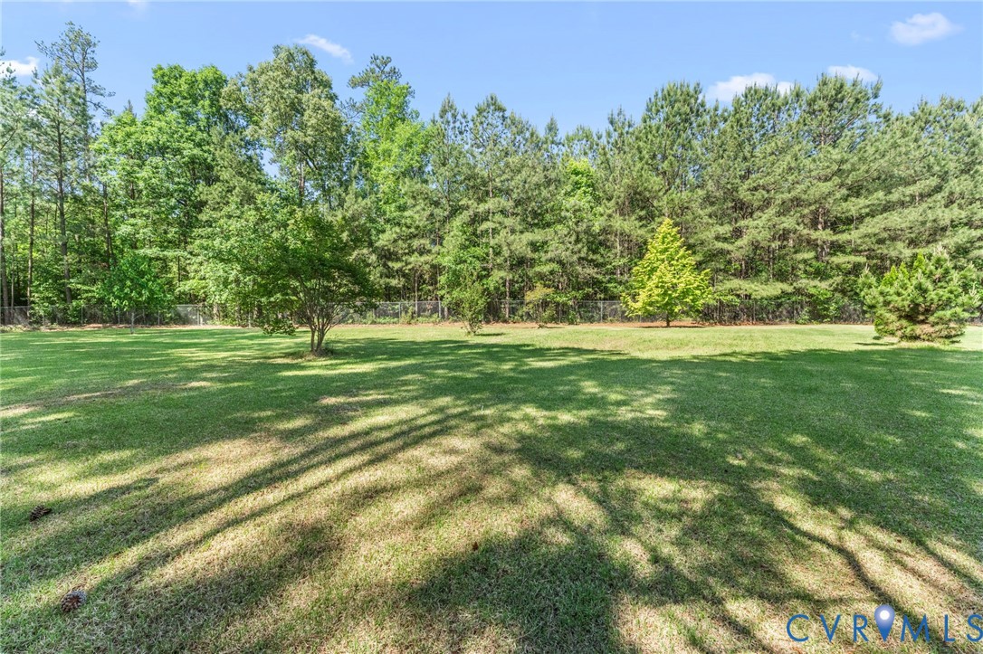 3120 Denise Road Petersburg, VA 23805 - Photo 7 of 51 Expansive green lawn framed by a dense tree line