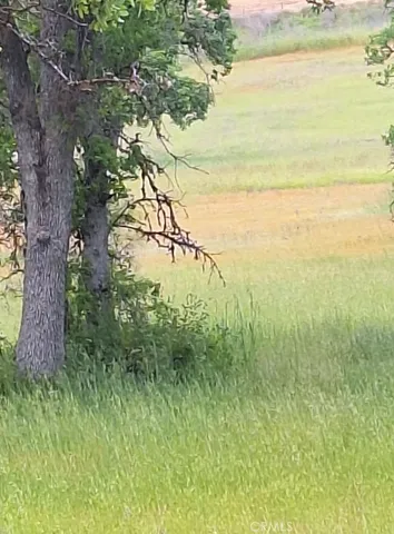 $25,000 | 3397 Oleander Street, Clearlake, CA 95422