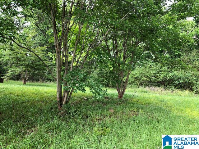 6283 Highway 119 Montevallo, AL 35115 - Photo 32 of 33