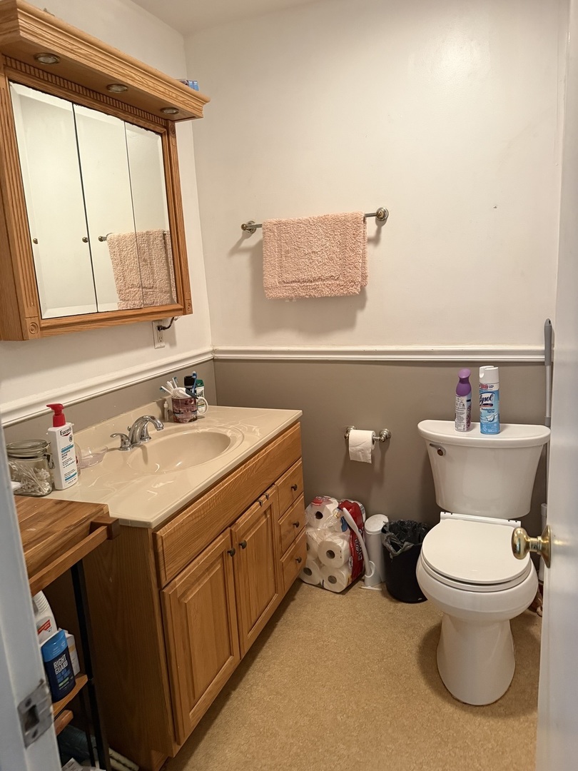 353 Irene Avenue Rochelle, IL 61068 - Photo 9 of 23