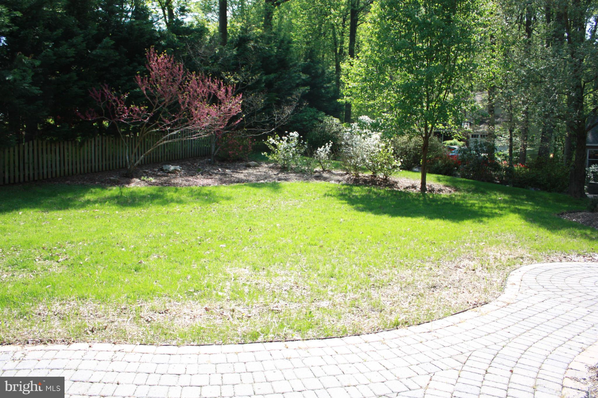 Front yard
