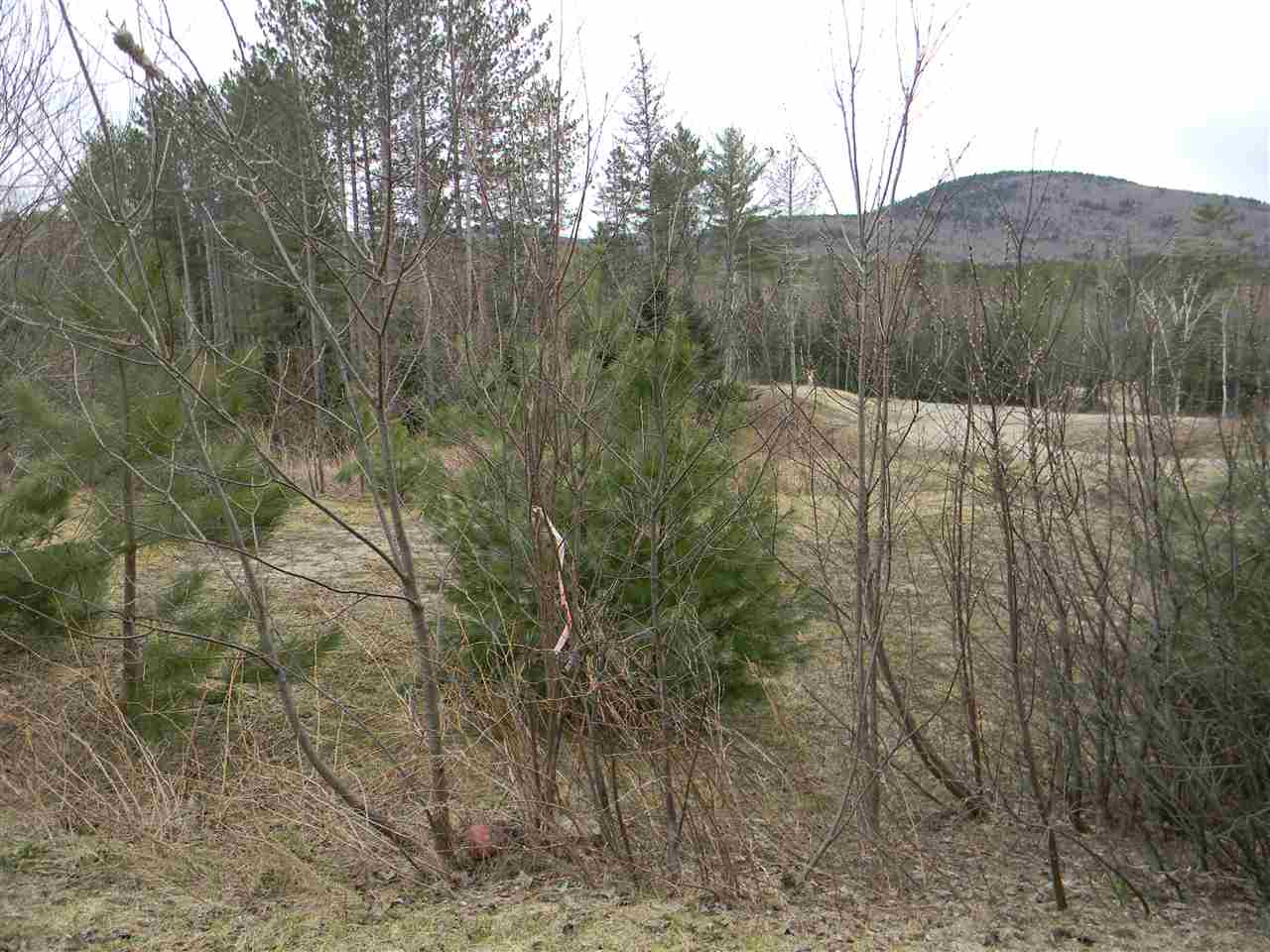 L34.2 L34.2 Osprey Road, Unit 34 2 Stark, NH 03582 - Photo 1 of 24