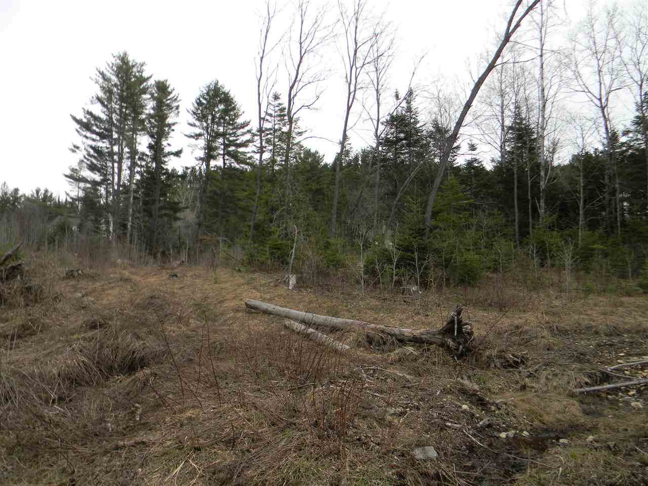 L34.2 L34.2 Osprey Road, Unit 34 2 Stark, NH 03582 - Photo 2 of 24