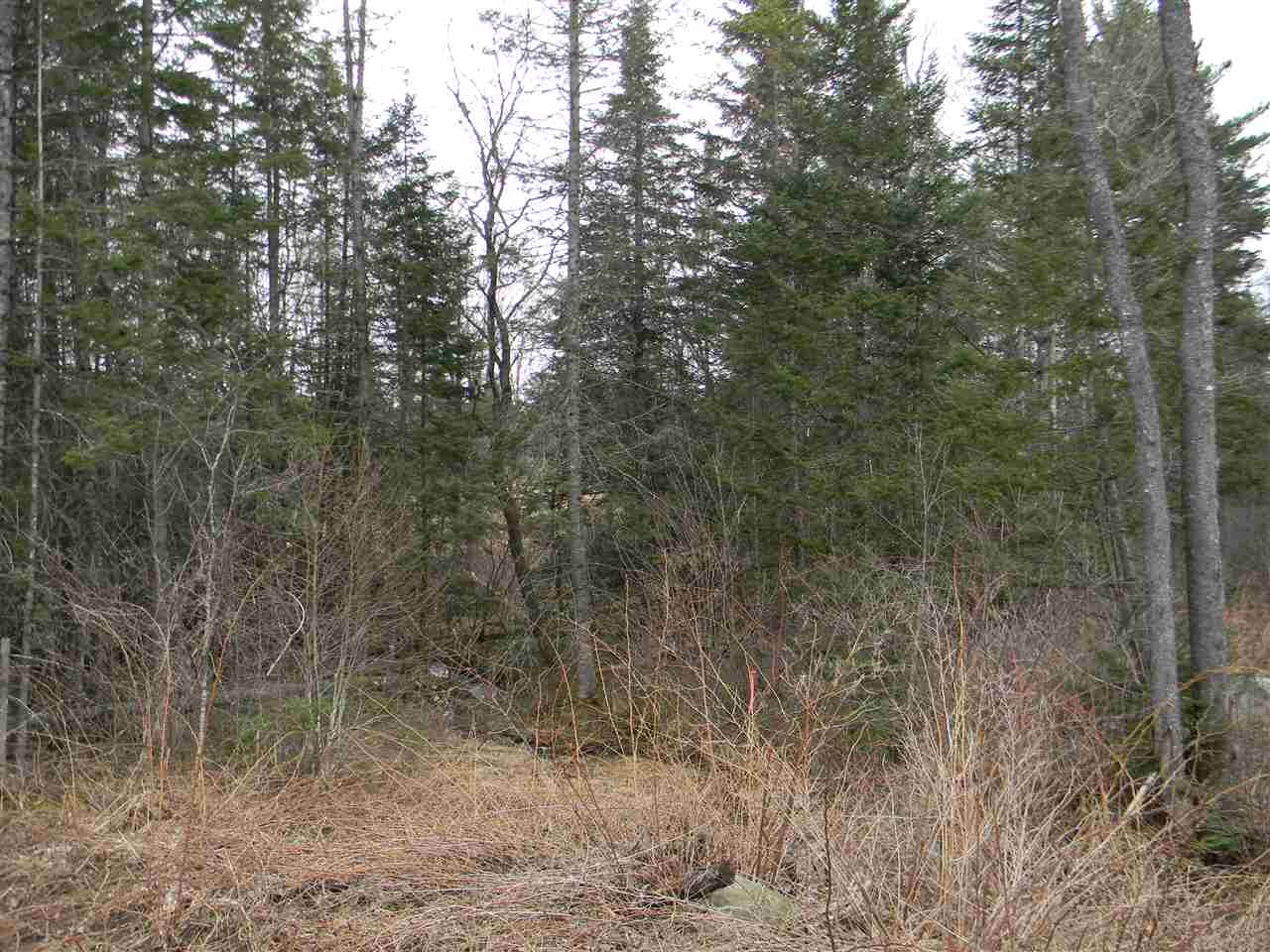 L34.2 L34.2 Osprey Road, Unit 34 2 Stark, NH 03582 - Photo 3 of 24