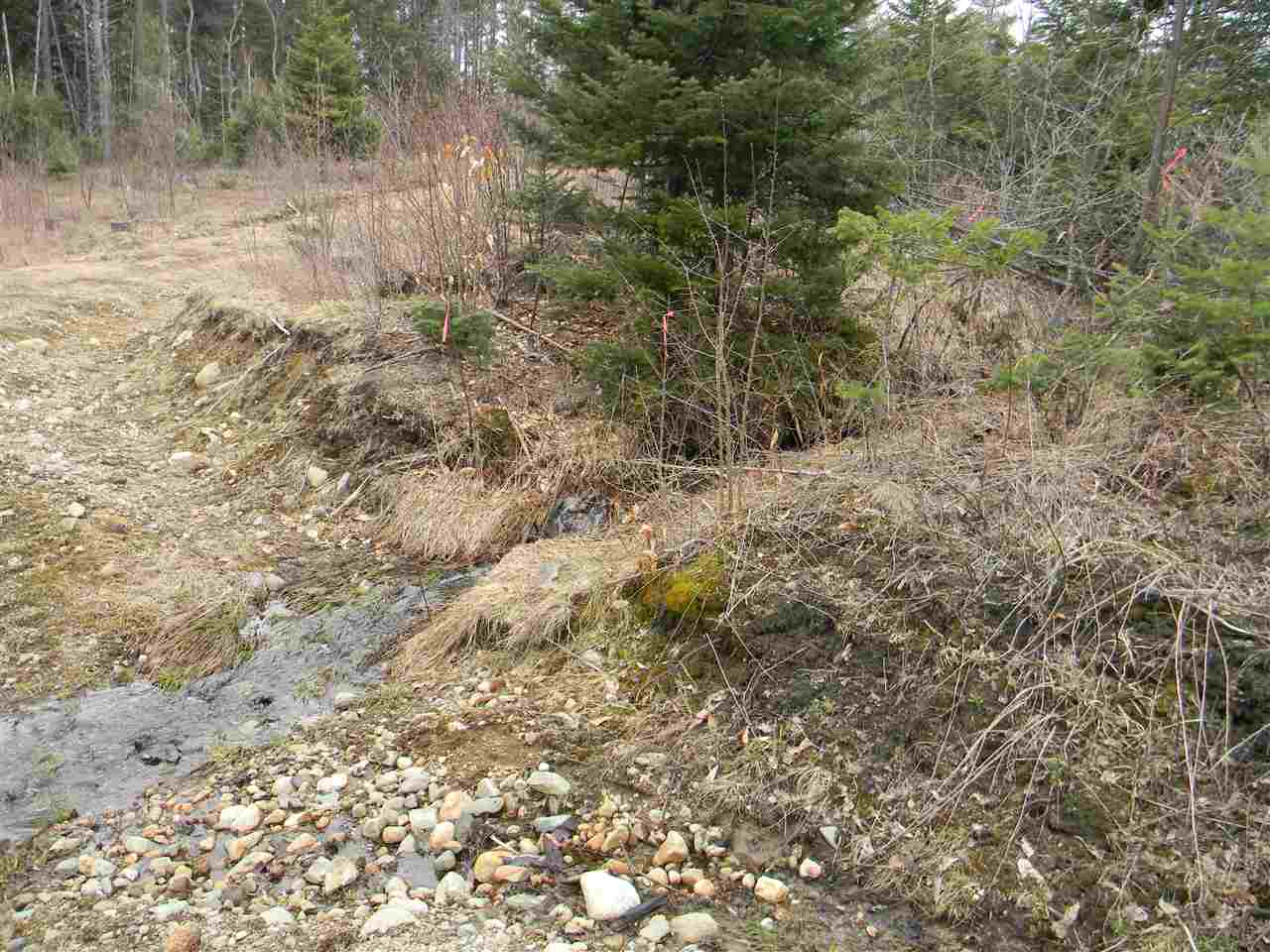 L34.2 L34.2 Osprey Road, Unit 34 2 Stark, NH 03582 - Photo 4 of 24