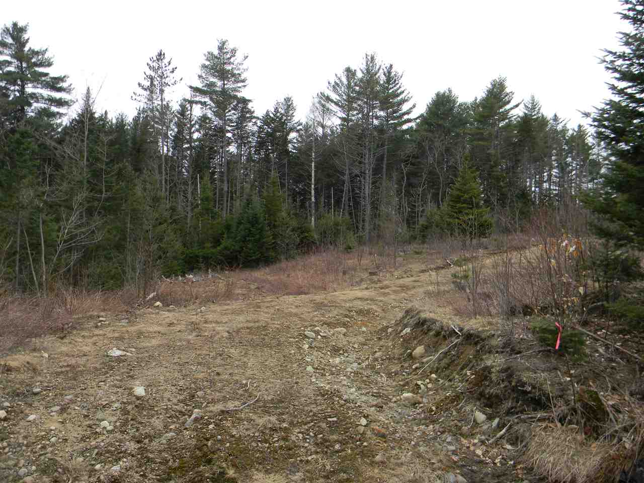 L34.2 L34.2 Osprey Road, Unit 34 2 Stark, NH 03582 - Photo 5 of 24