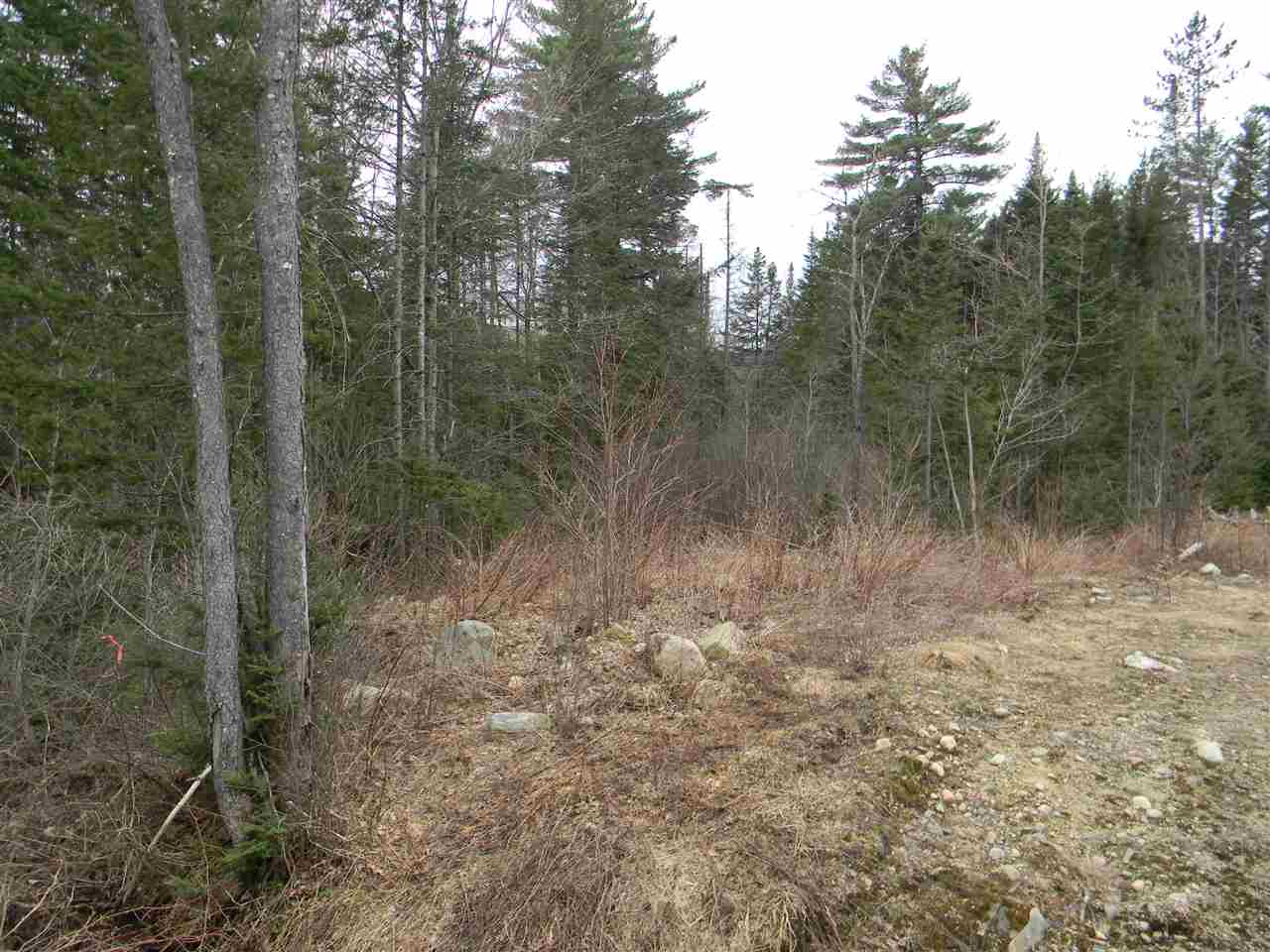 L34.2 L34.2 Osprey Road, Unit 34 2 Stark, NH 03582 - Photo 6 of 24
