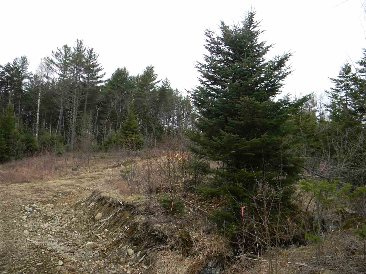 L34.2 L34.2 Osprey Road, Unit 34 2 Stark, NH 03582 - Photo 9 of 24