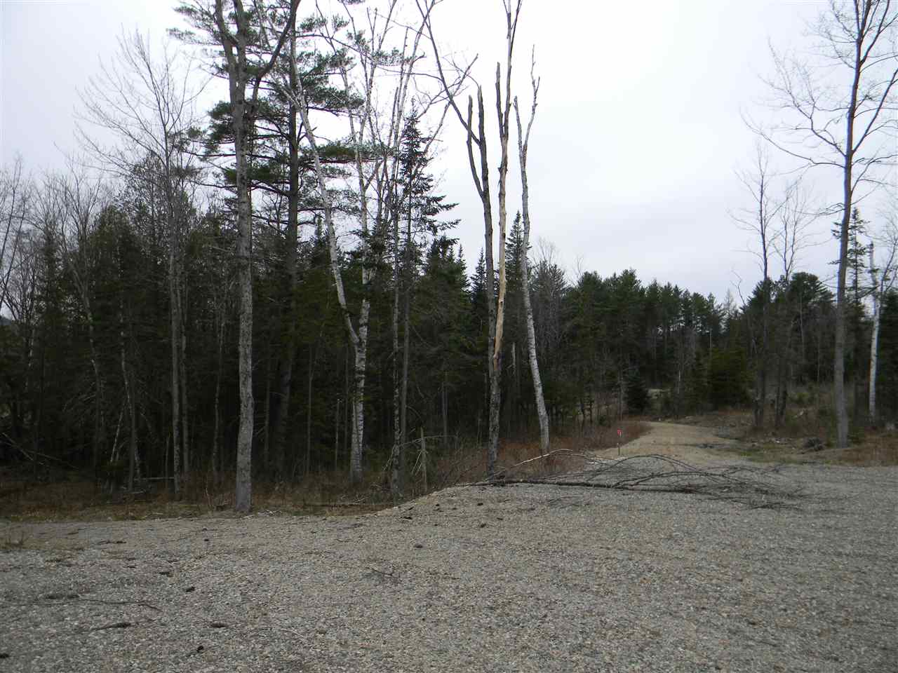 L34.2 L34.2 Osprey Road, Unit 34 2 Stark, NH 03582 - Photo 10 of 24