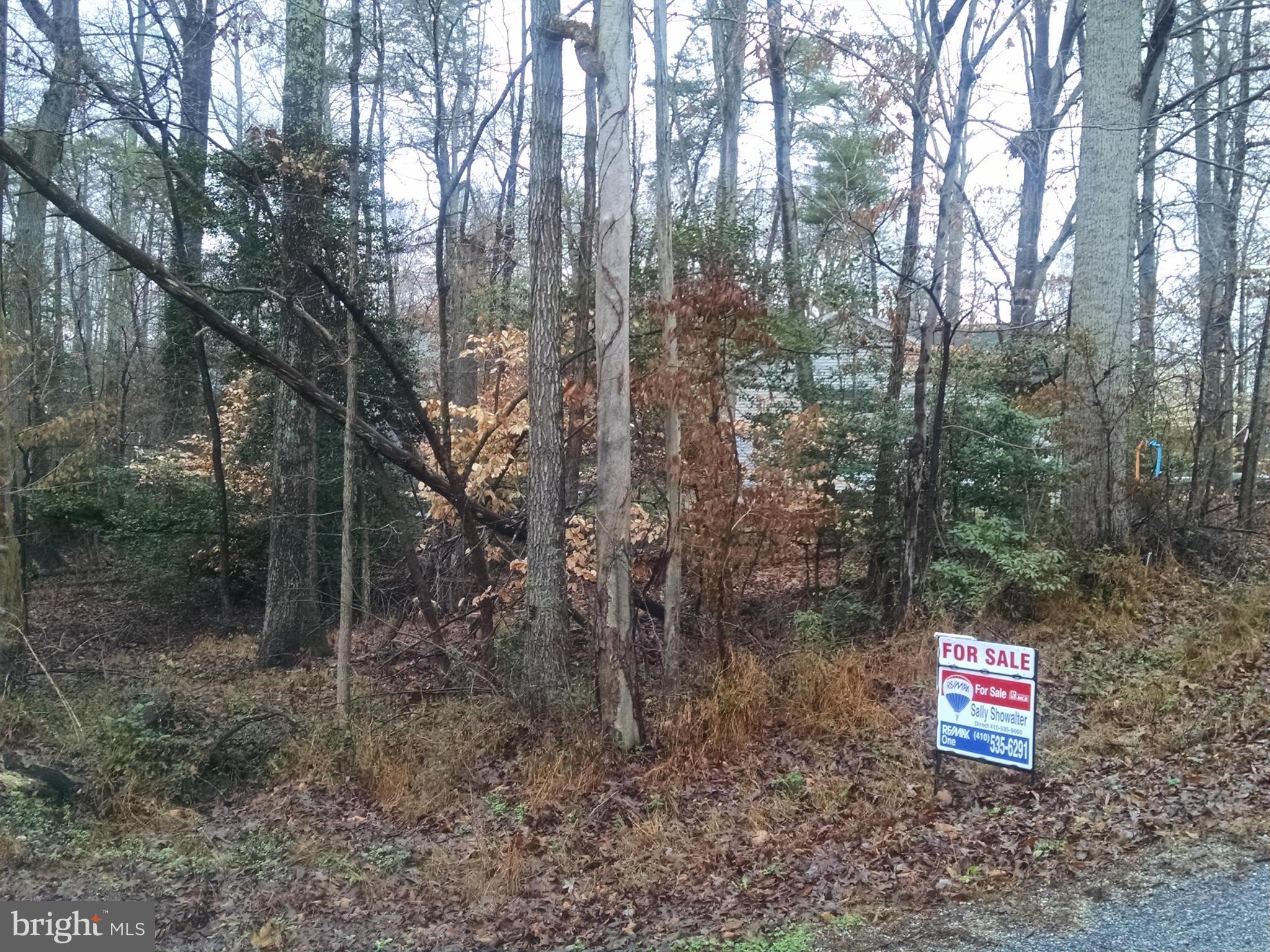 11337 Commanche Road Lusby, MD 20657 - Photo 1 of 4 a flag is sitting in the middle of forest