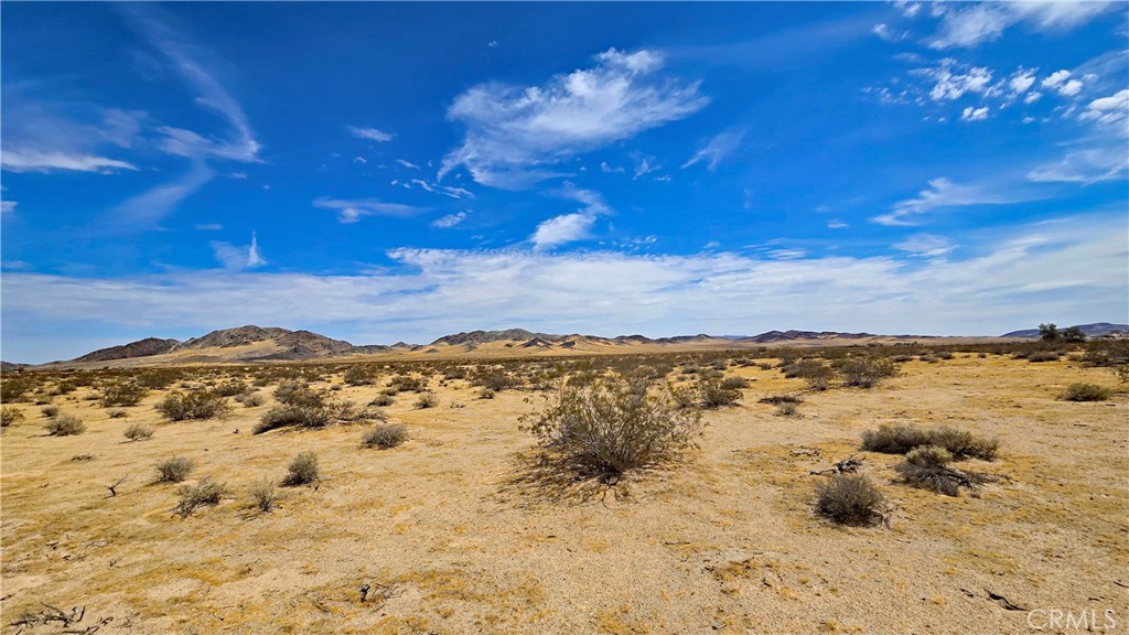 0 Greenview Road Newberry Springs, CA 92365 - Photo 3 of 40 Gallery Image 3