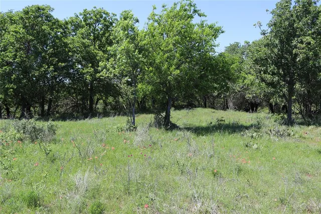 a view of a lush green field