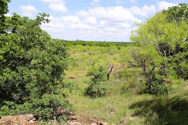 a view of a lush green field