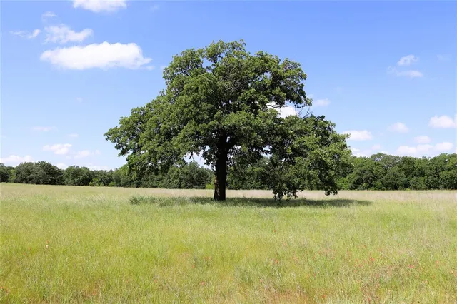a view of lake with sunset in background