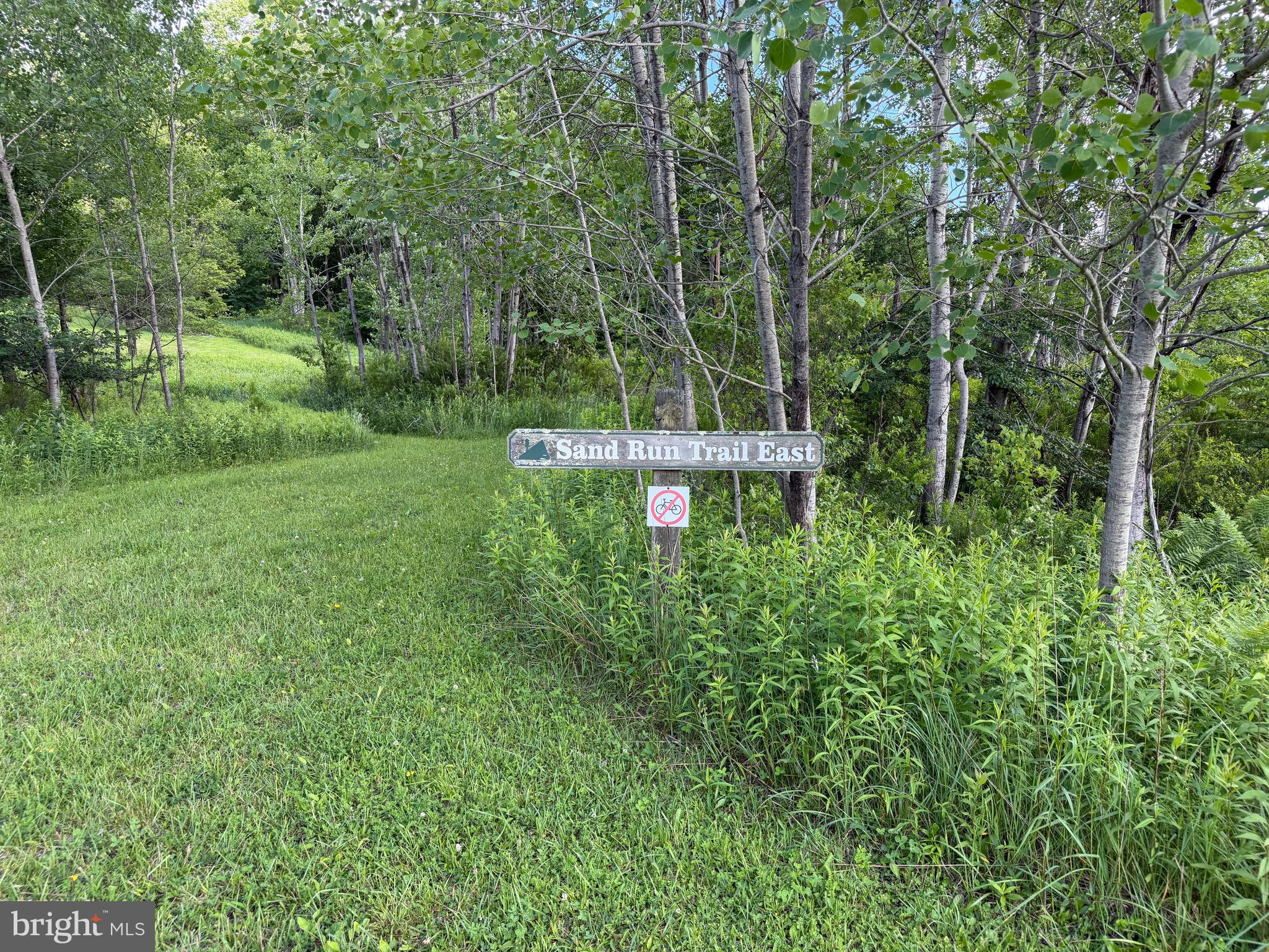 1077 Sand Run Road Davis, WV 26260 - Photo 69 of 69
